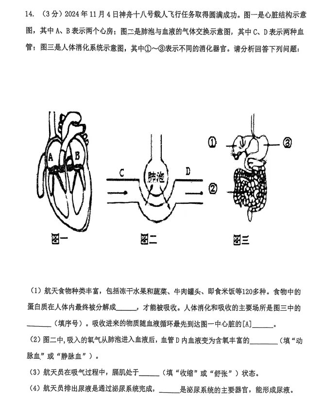 2025年7月抚顺新宾七下期末试卷+答案-第65张图片-四季读书网