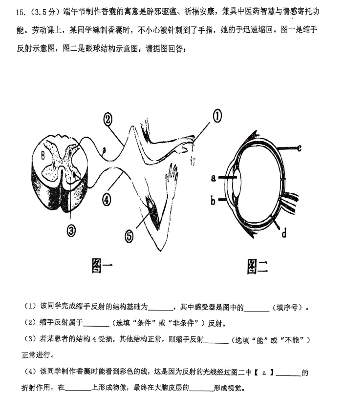 2025年7月抚顺新宾七下期末试卷+答案-第66张图片-四季读书网