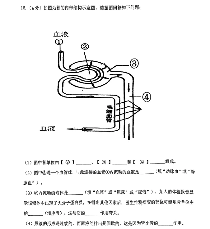 2025年7月抚顺新宾七下期末试卷+答案-第67张图片-四季读书网