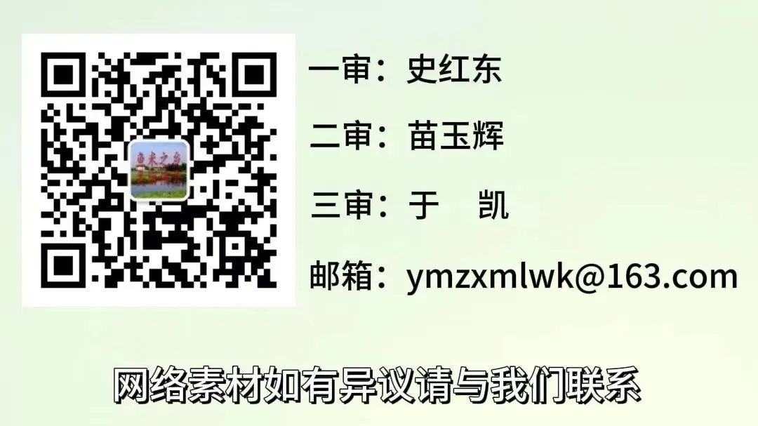 中考期间勃利县考点周边实施交通管制的通告-第3张图片-四季读书网