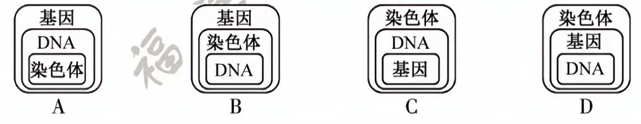 2026年福建省中考生物试卷生物学试题-第5张图片-四季读书网 2026年福建省中考生物试卷生物学试题-第5张图片-四季读书网