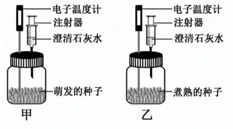 2026年福建省中考生物试卷生物学试题-第6张图片-四季读书网 2026年福建省中考生物试卷生物学试题-第6张图片-四季读书网