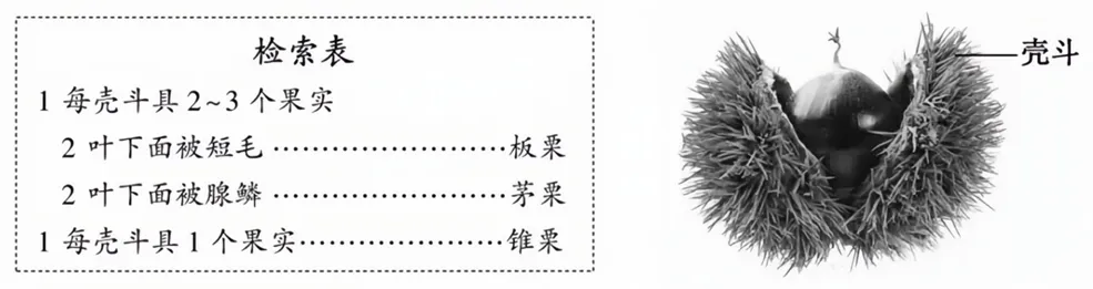 2026年福建省中考生物试卷生物学试题-第10张图片-四季读书网