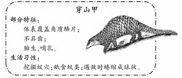 2026年福建省中考生物试卷生物学试题-第11张图片-四季读书网 2026年福建省中考生物试卷生物学试题-第11张图片-四季读书网