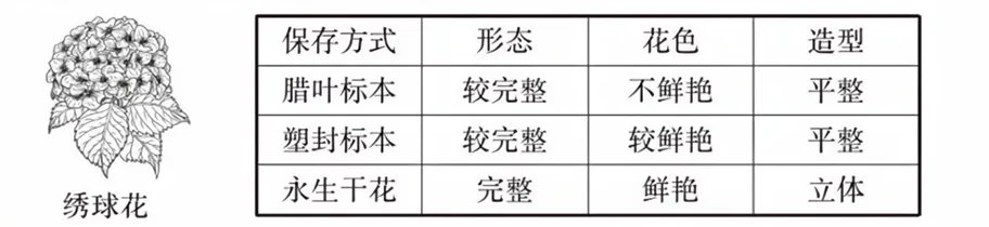 2026年福建省中考生物试卷生物学试题-第16张图片-四季读书网 2026年福建省中考生物试卷生物学试题-第16张图片-四季读书网