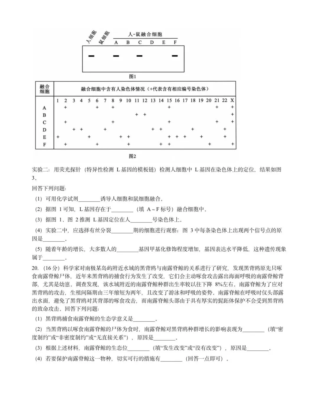2026年湖北高考真题|生物卷-第6张图片-四季读书网