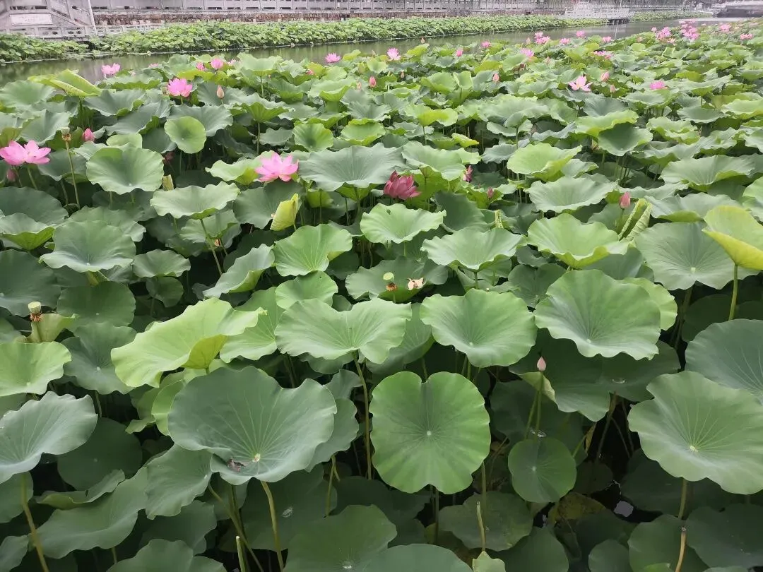 中考考场外 她把贵重首饰给陌生妈妈后-第1张图片-四季读书网 中考考场外 她把贵重首饰给陌生妈妈后-第1张图片-四季读书网