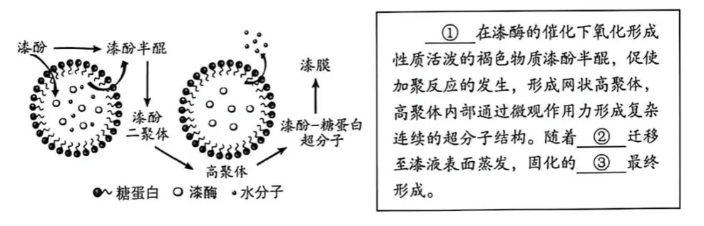 【中考速递】2026 年湖北省中考语文语文试题及参考答案-第6张图片-四季读书网