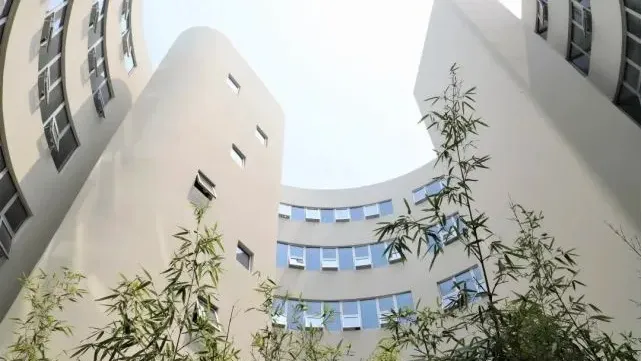 平和入学考试到底有多难?2026真题深度解析,数学+英语+面试拆解,免费领测试卷!-第5张图片-四季读书网 平和入学考试到底有多难?2026真题深度解析,数学+英语+面试拆解,免费领测试卷!-第5张图片-四季读书网