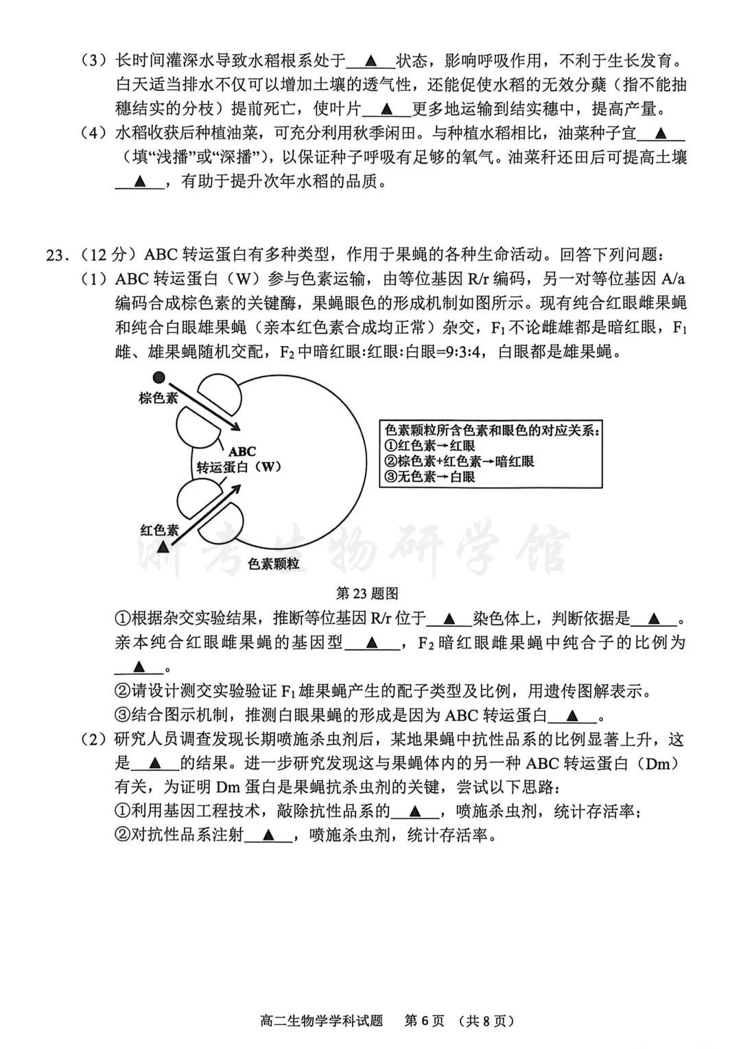 2606 浙江省宁波市高二期末考试生物试卷、答案及解析-第9张图片-四季读书网 2606 浙江省宁波市高二期末考试生物试卷、答案及解析-第9张图片-四季读书网