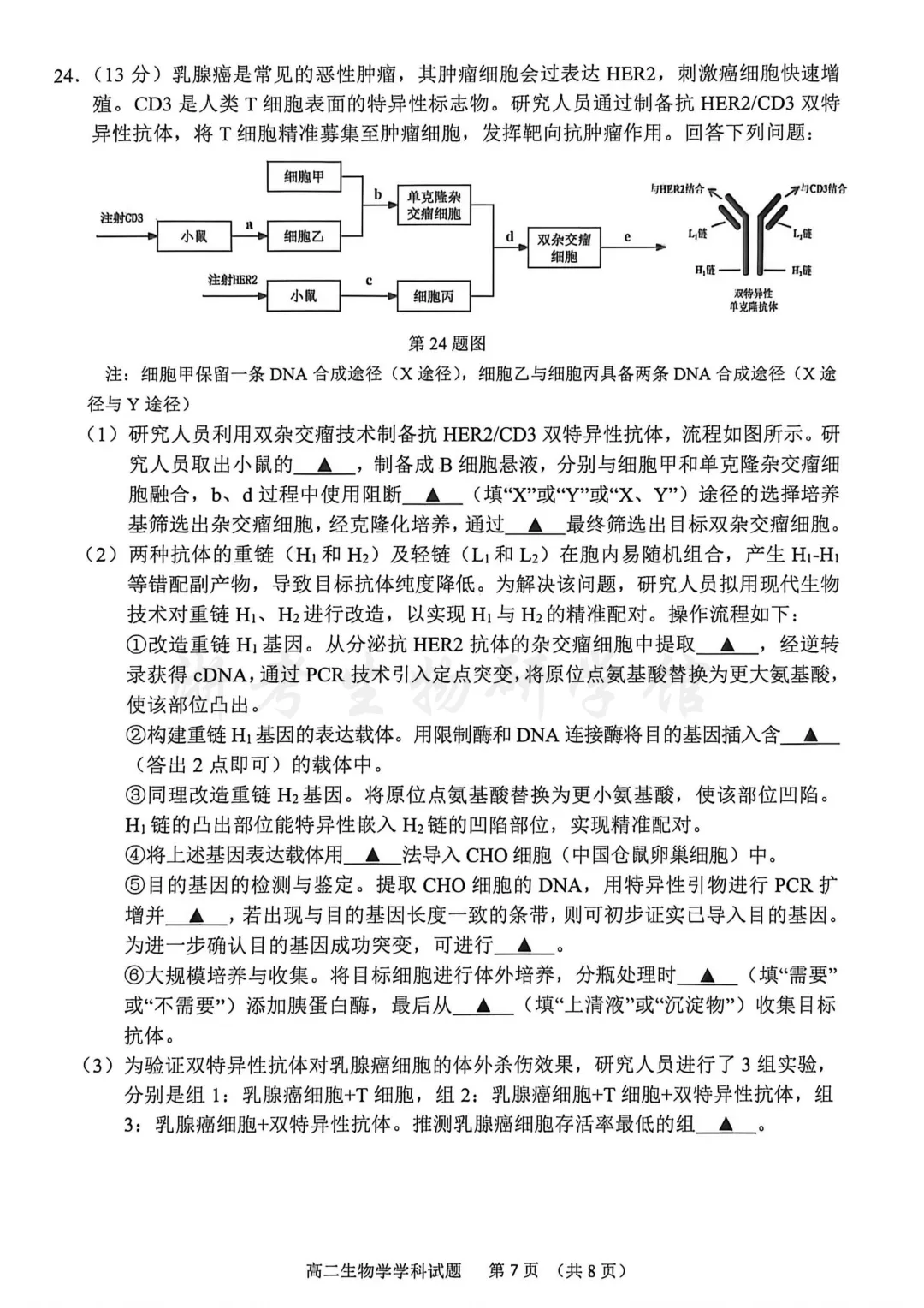 2606 浙江省宁波市高二期末考试生物试卷、答案及解析-第10张图片-四季读书网 2606 浙江省宁波市高二期末考试生物试卷、答案及解析-第10张图片-四季读书网