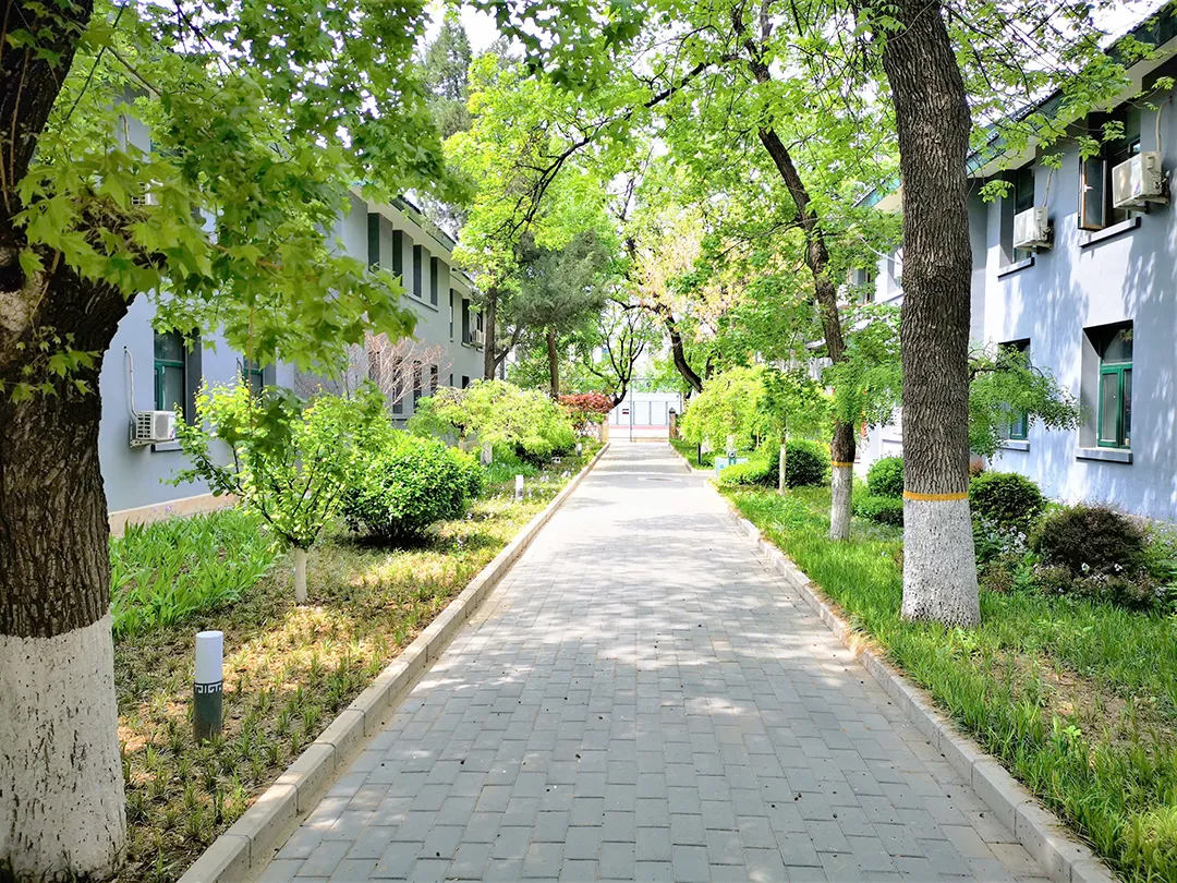 青春同路,伴你迎战中考!-第15张图片-四季读书网