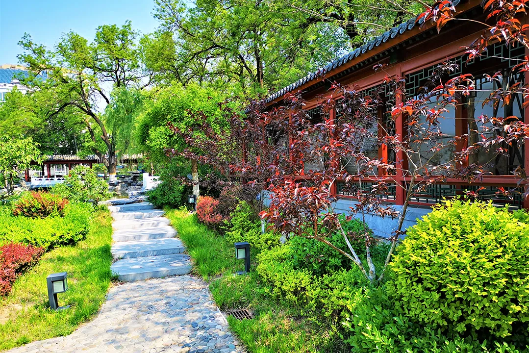 青春同路,伴你迎战中考!-第23张图片-四季读书网