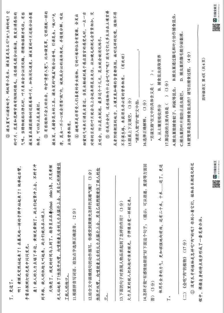 小学语文|部编版四下期末考题真题-第2张图片-四季读书网