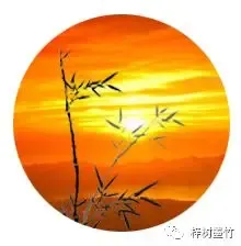 中考结束那天,我把青春折叠好-第1张图片-四季读书网