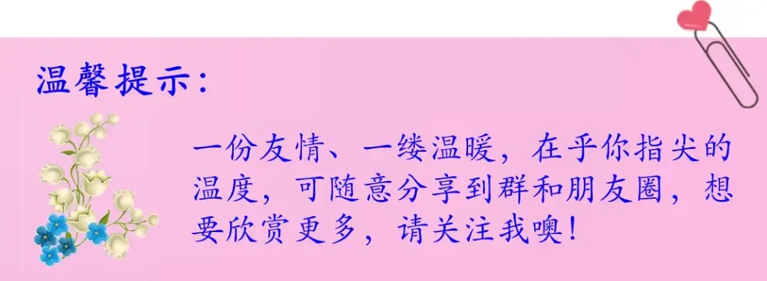中考结束那天,我把青春折叠好-第7张图片-四季读书网