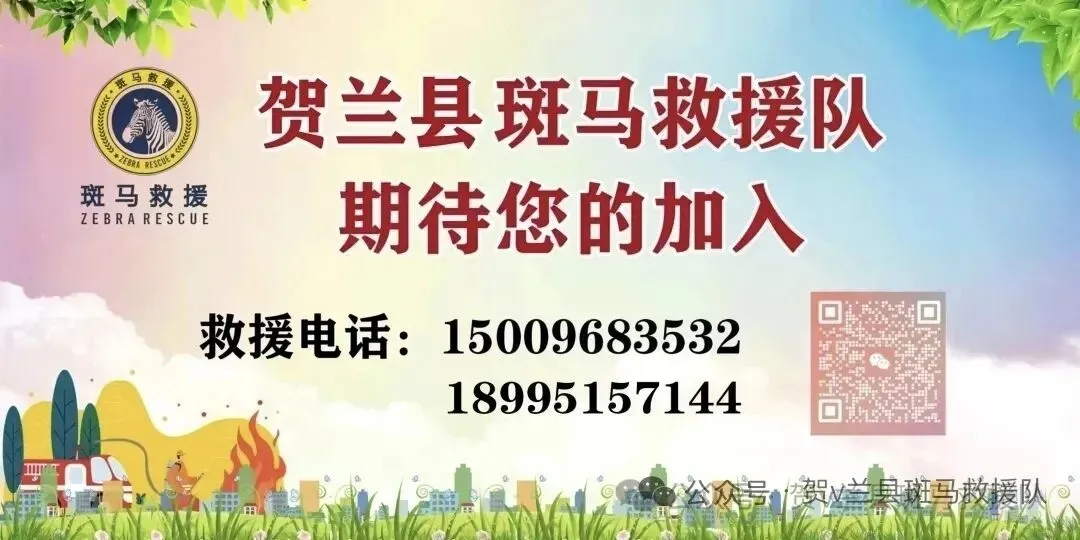 中考启航 为梦护航——贺兰县斑马救援队举行中考爱心送考启动仪式-第7张图片-四季读书网