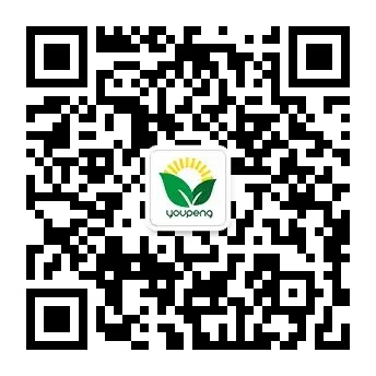 追风赶月,终见春山,中考加油!-第7张图片-四季读书网