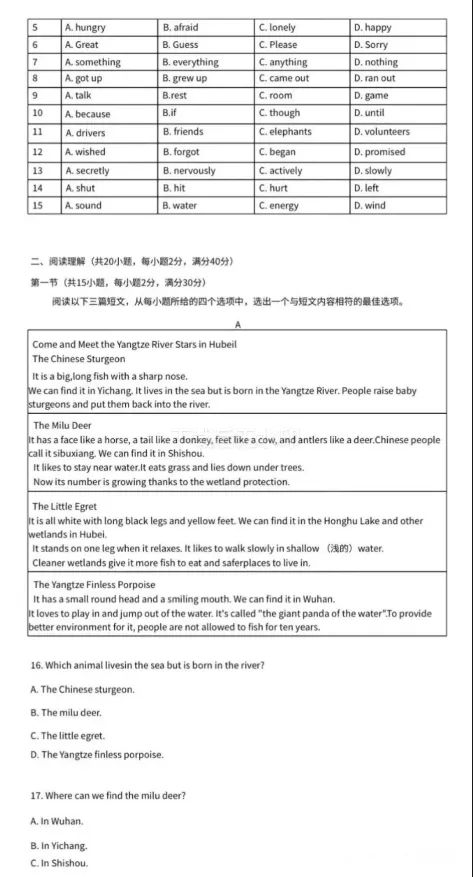 2026年湖北省中考英语试题+解析,附下载链接-第5张图片-四季读书网