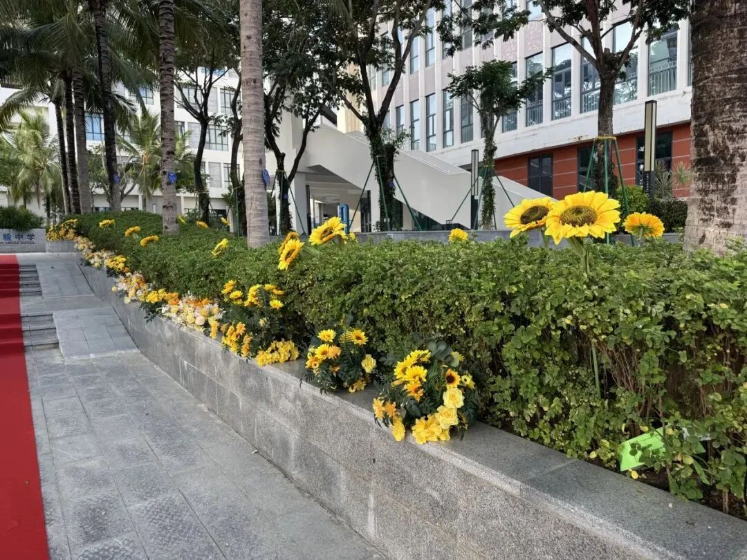 鱼跃龙门 中考必胜 | 三亚崖州湾科技城寰岛实验中学2026届初三送考仪式-第29张图片-四季读书网
