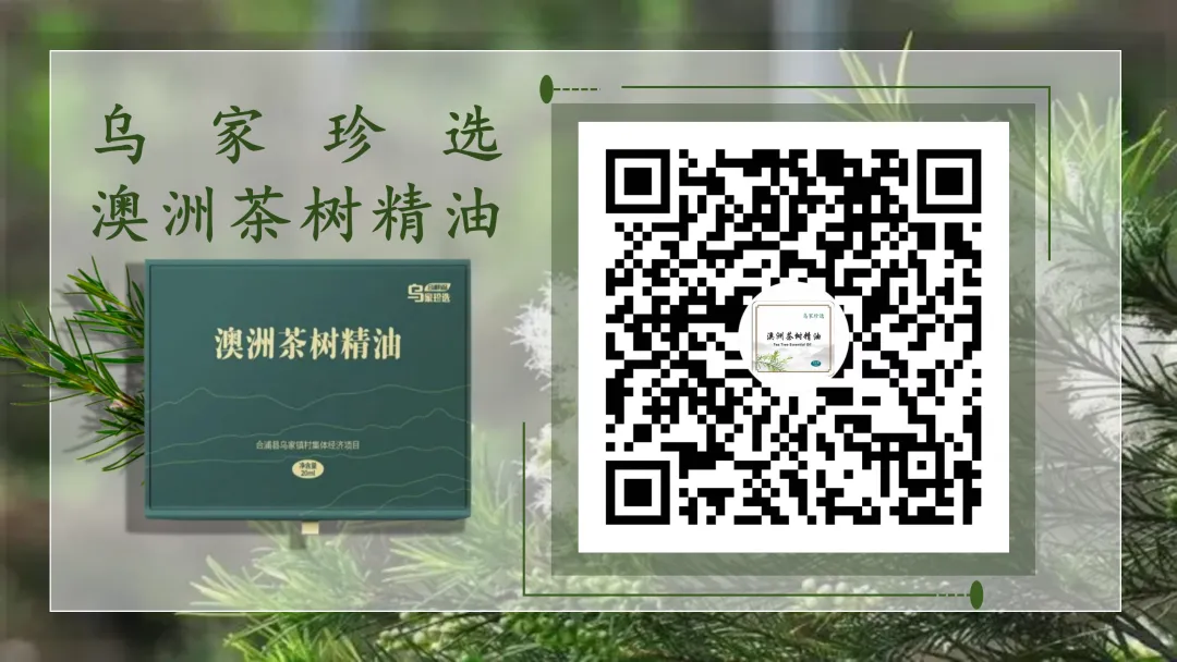 中考开考,北海切换“静”音模式!-第2张图片-四季读书网