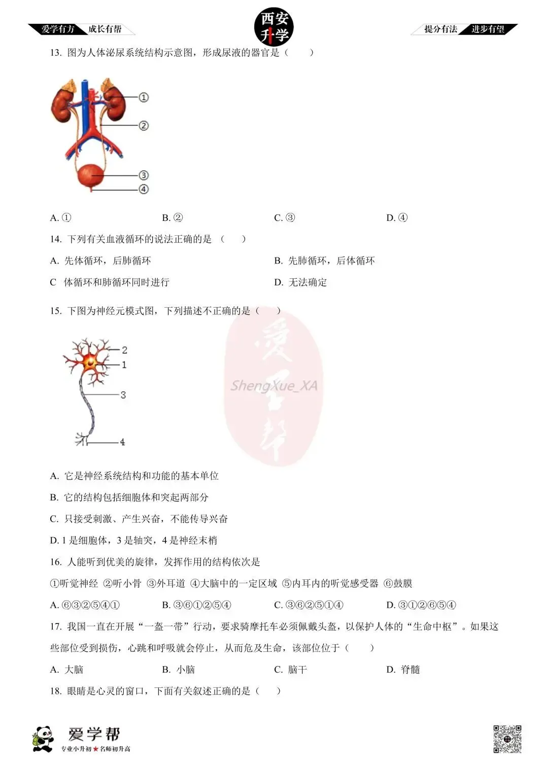 【初中名校 往年真题】七下期末:高新一中~生物(含答案)-第5张图片-四季读书网