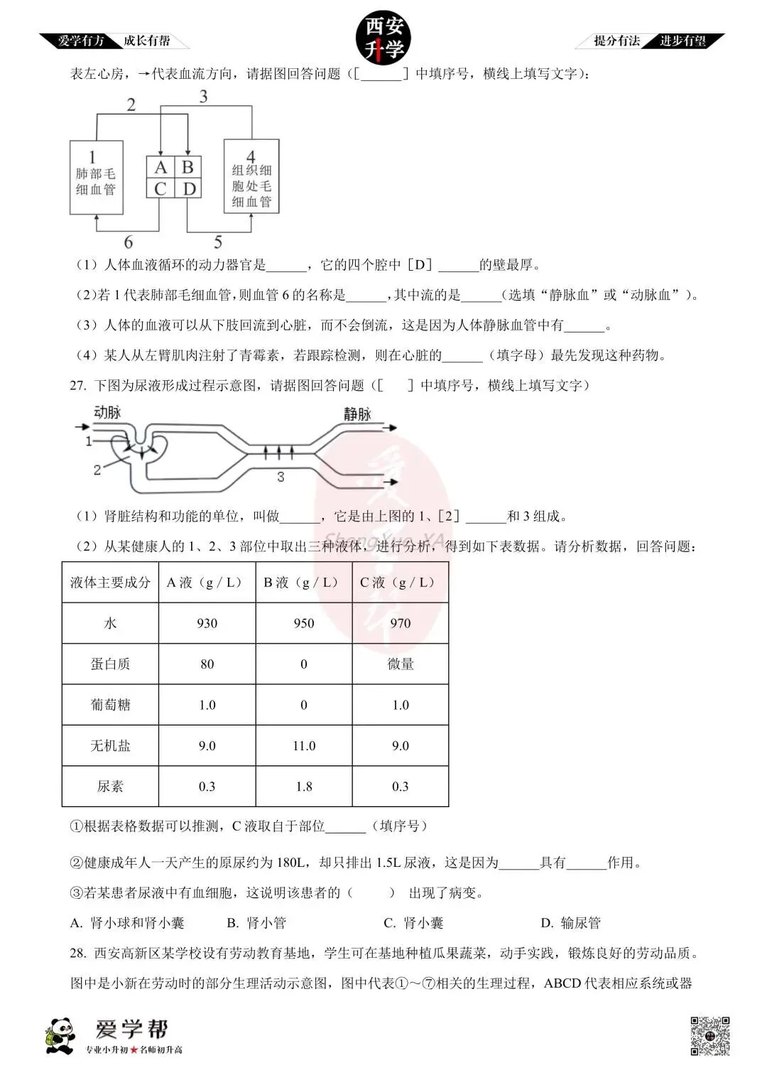 【初中名校 往年真题】七下期末:高新一中~生物(含答案)-第7张图片-四季读书网
