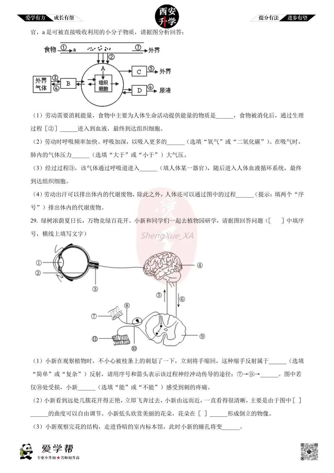 【初中名校 往年真题】七下期末:高新一中~生物(含答案)-第8张图片-四季读书网