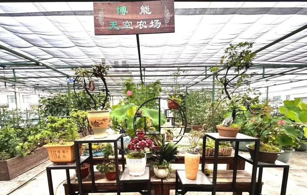 212人!中考学子新选择!余杭这所学校四大热门专业招生计划公布!现代会计、酷炫电商、智慧物流,涉农专业每年还有两千多补助……-第24张图片-四季读书网