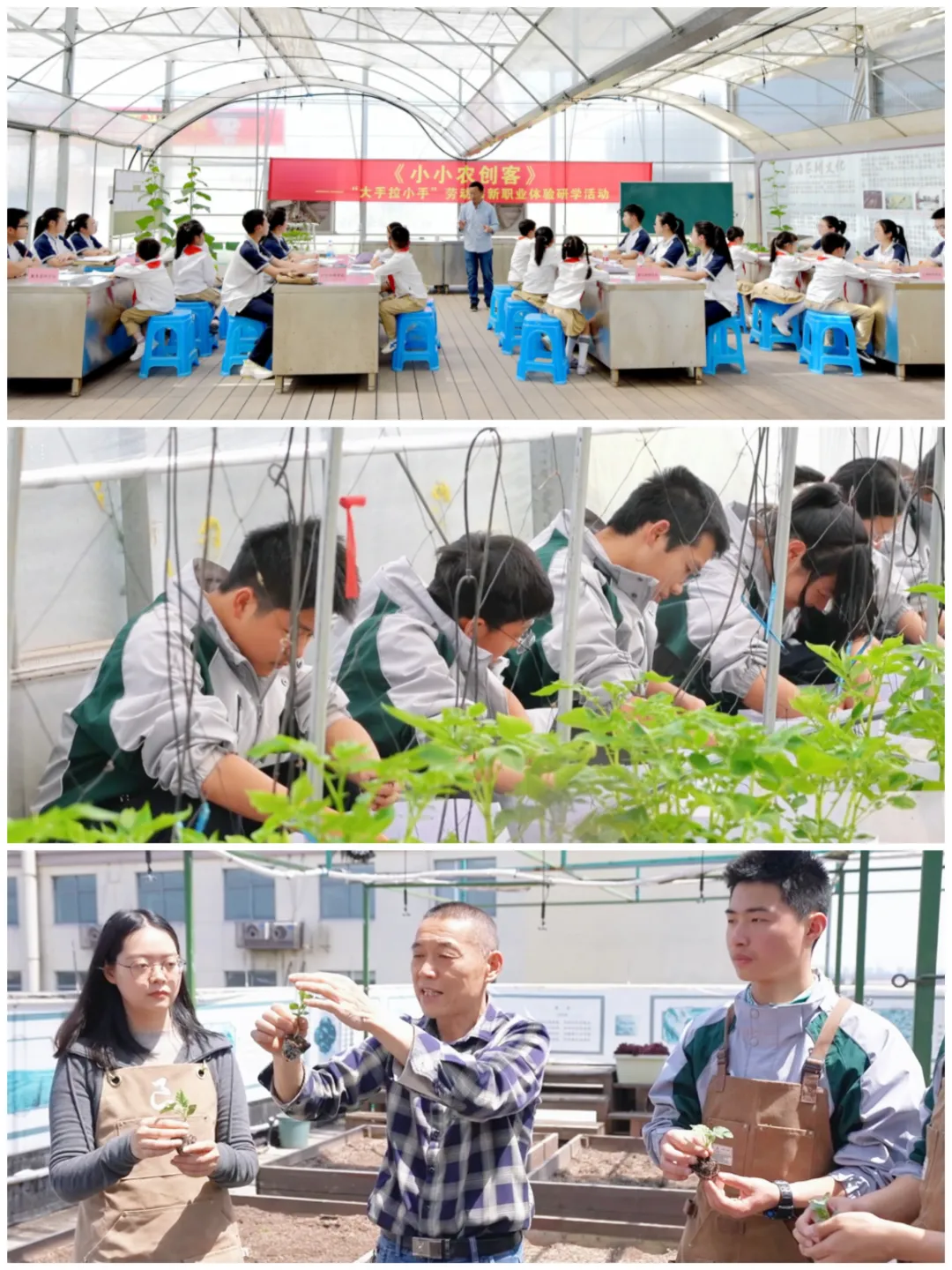 212人!中考学子新选择!余杭这所学校四大热门专业招生计划公布!现代会计、酷炫电商、智慧物流,涉农专业每年还有两千多补助……-第29张图片-四季读书网