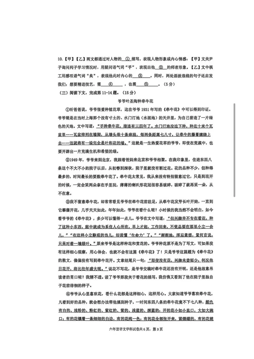2026上海六年级下册杨浦区语文期末真题试卷|电子版可打印,附答案解析-第5张图片-四季读书网