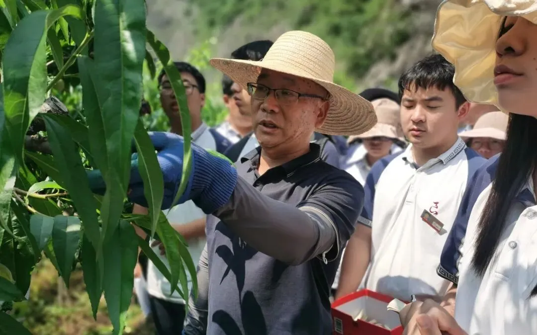 212人!中考学子新选择!余杭这所学校四大热门专业招生计划公布!现代会计、酷炫电商、智慧物流,涉农专业每年还有两千多补助……-第30张图片-四季读书网