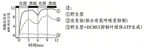 高考真题 | 2026年河北省普通高中学业水平选择性考试生物学试题-第4张图片-四季读书网