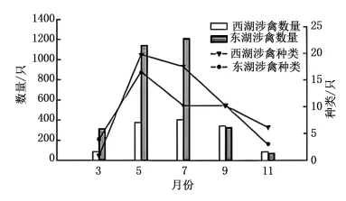 高考真题 | 2026年河北省普通高中学业水平选择性考试生物学试题-第6张图片-四季读书网