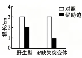 高考真题 | 2026年河北省普通高中学业水平选择性考试生物学试题-第7张图片-四季读书网