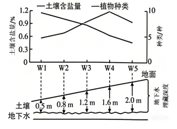 高考真题 | 2026年河北省普通高中学业水平选择性考试生物学试题-第8张图片-四季读书网