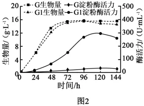 高考真题 | 2026年河北省普通高中学业水平选择性考试生物学试题-第11张图片-四季读书网