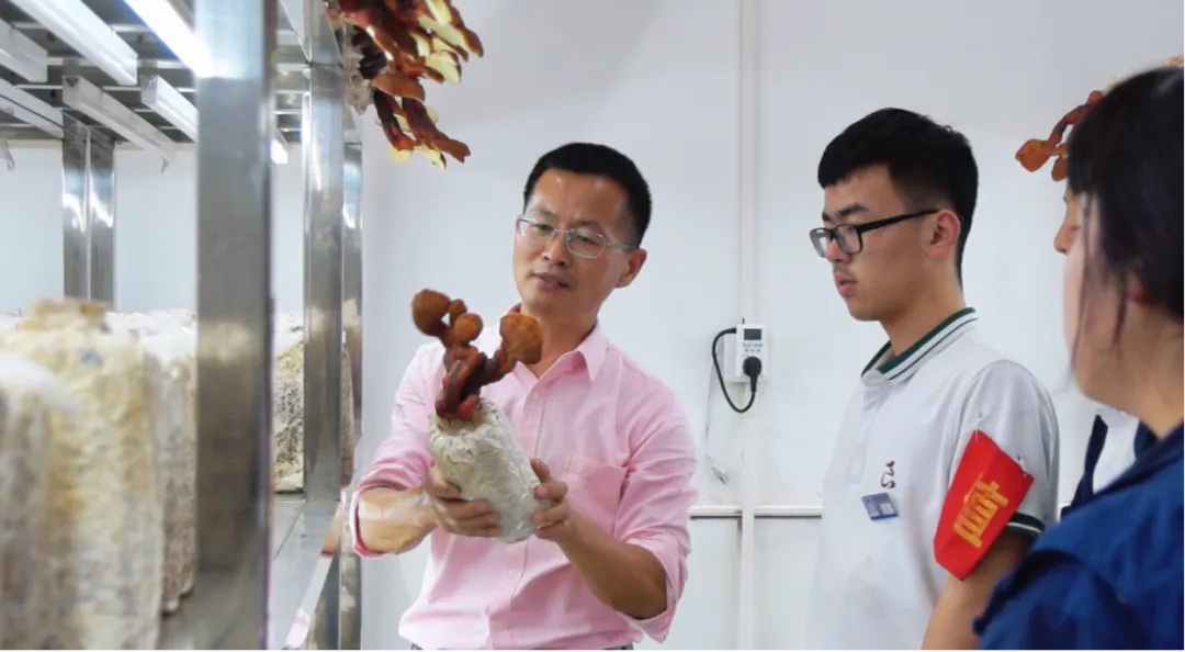 212人!中考学子新选择!余杭这所学校四大热门专业招生计划公布!现代会计、酷炫电商、智慧物流,涉农专业每年还有两千多补助……-第32张图片-四季读书网