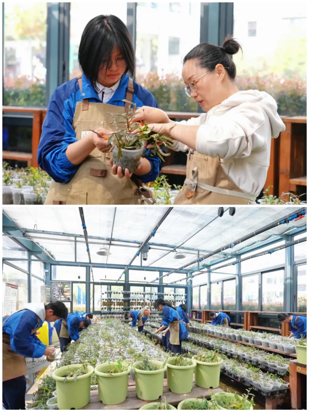 212人!中考学子新选择!余杭这所学校四大热门专业招生计划公布!现代会计、酷炫电商、智慧物流,涉农专业每年还有两千多补助……-第33张图片-四季读书网