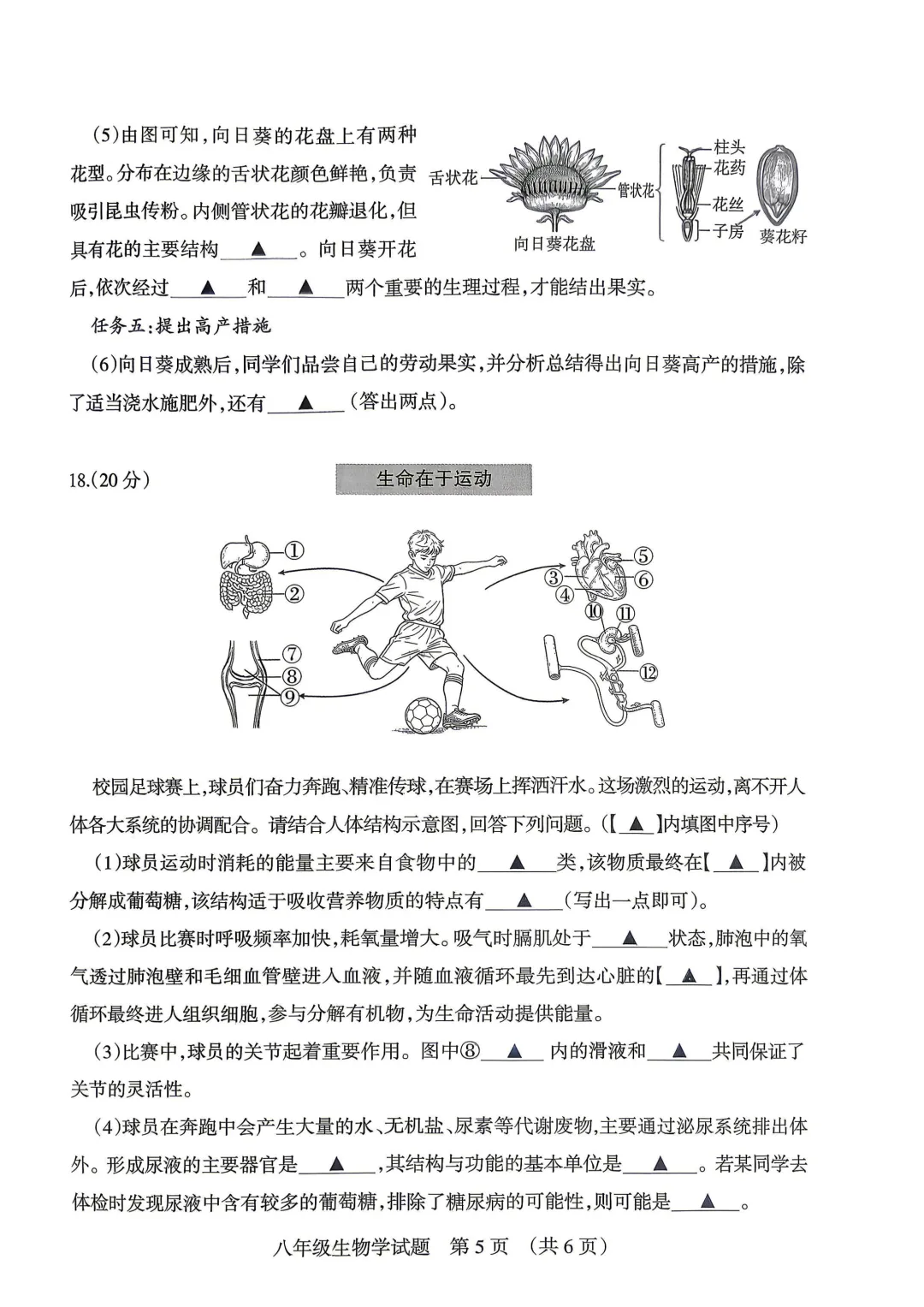 2026年阳泉市地理生物会考试卷答案-第6张图片-四季读书网