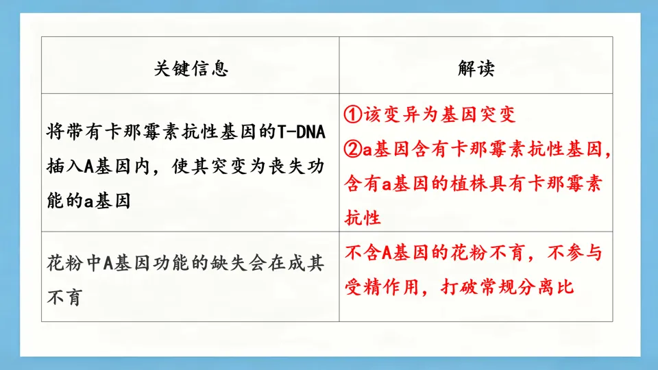 慢慢解真题|遗传基本规律(11):T-DNA插入与花粉不育(2025河北卷)-第2张图片-四季读书网