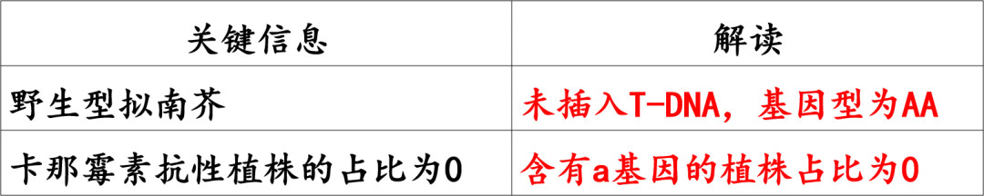 慢慢解真题|遗传基本规律(11):T-DNA插入与花粉不育(2025河北卷)-第4张图片-四季读书网