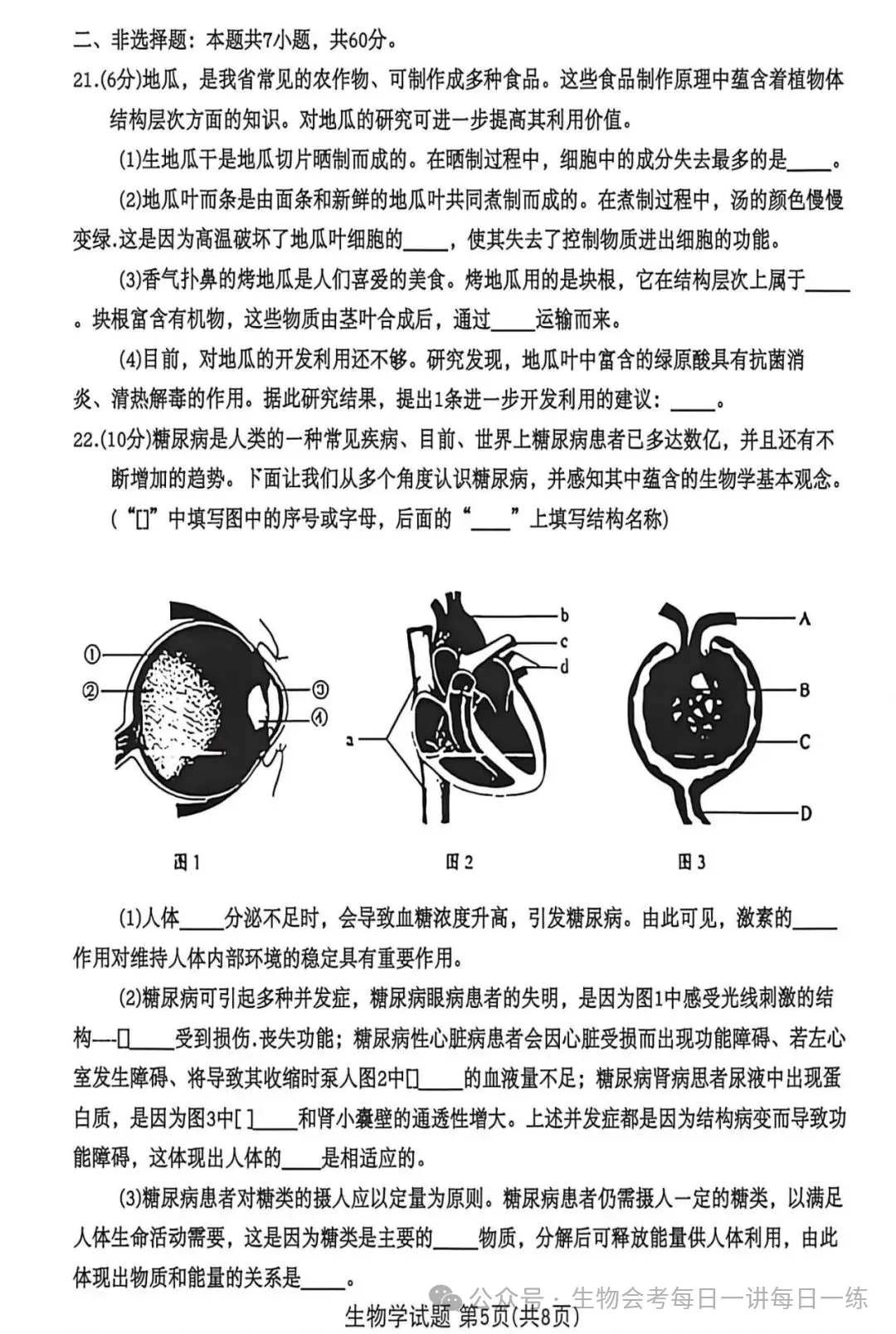 中考真题原卷:山东省2026年中考语文、数学、地理、生物试题(无答案)-第32张图片-四季读书网