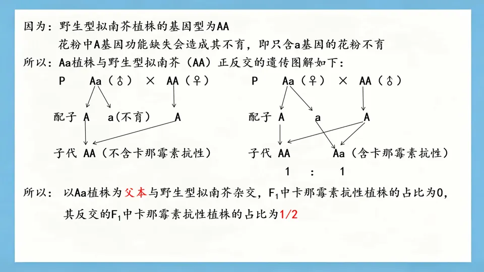 慢慢解真题|遗传基本规律(11):T-DNA插入与花粉不育(2025河北卷)-第8张图片-四季读书网