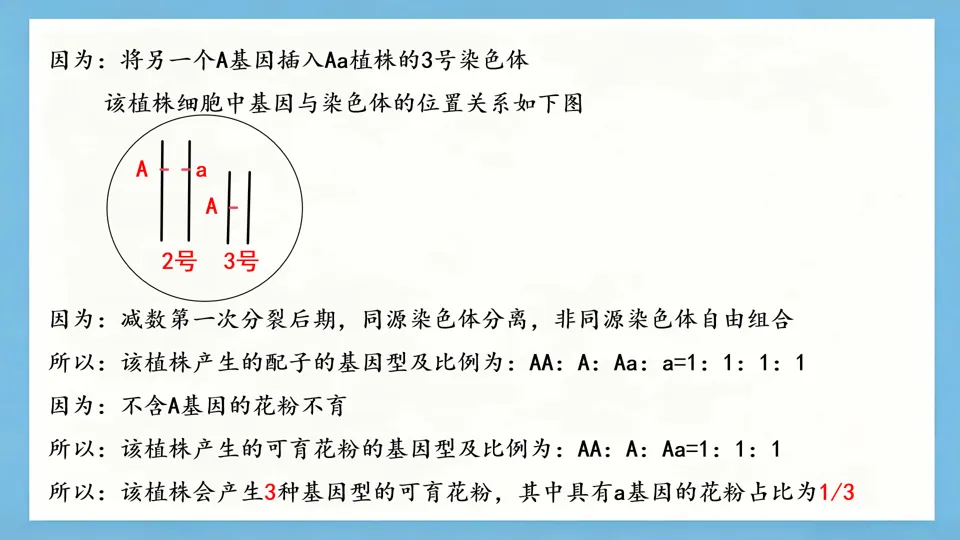 慢慢解真题|遗传基本规律(11):T-DNA插入与花粉不育(2025河北卷)-第9张图片-四季读书网