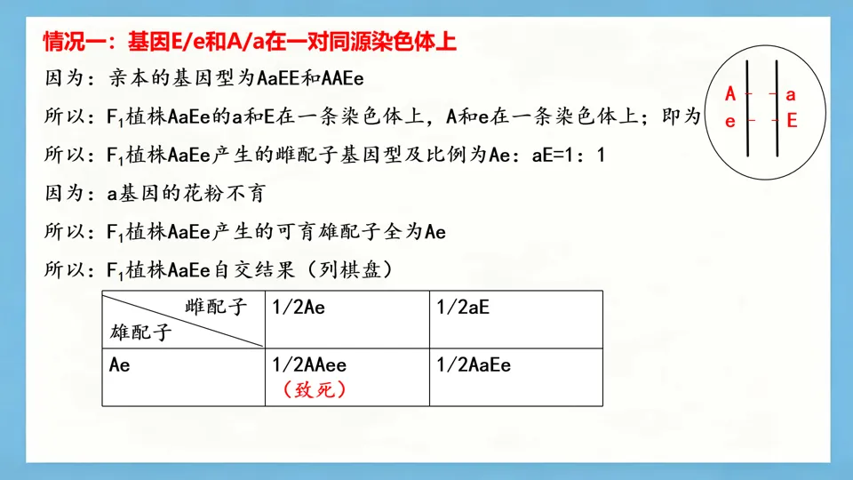 慢慢解真题|遗传基本规律(11):T-DNA插入与花粉不育(2025河北卷)-第12张图片-四季读书网