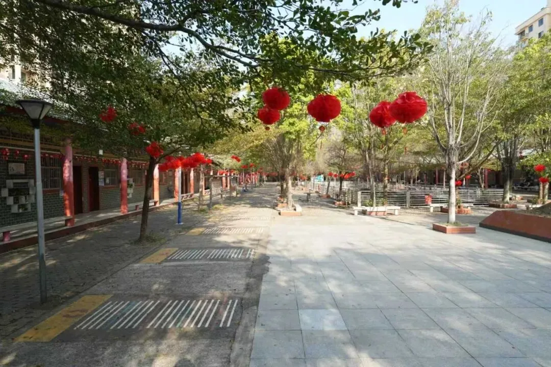 怀恩逐梦,亮剑中考-第42张图片-四季读书网