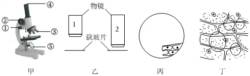 26生物中考押题演练,检测知识综合运用能力(二)-第1张图片-四季读书网