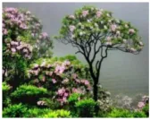 26生物中考押题演练,检测知识综合运用能力(二)-第3张图片-四季读书网