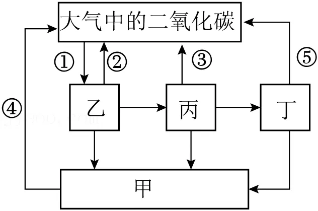 26生物中考押题演练,检测知识综合运用能力(二)-第6张图片-四季读书网
